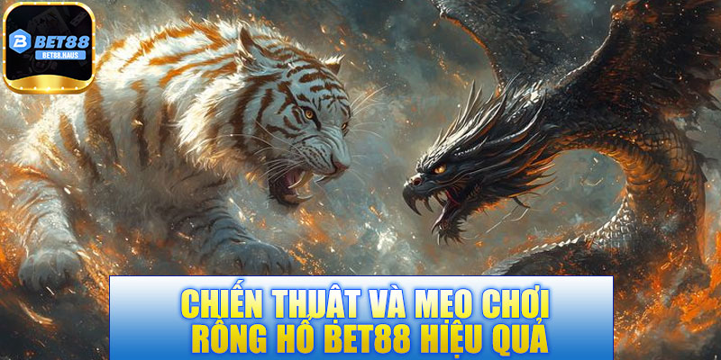 Chiến thuật và mẹo chơi Rồng Hổ BET88 hiệu quả