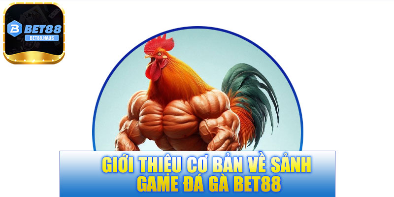 Giới thiệu cơ bản về sảnh game đá gà BET88