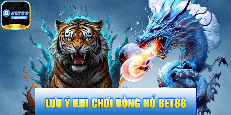 Lưu ý khi chơi Rồng Hổ BET88