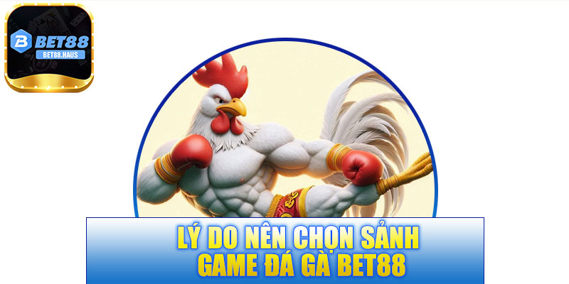 Lý do nên chọn sảnh game đá gà BET88