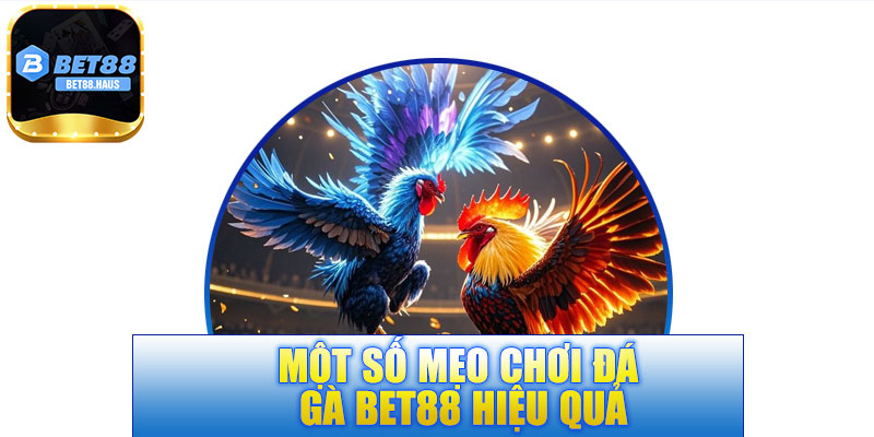 Một số mẹo chơi đá gà BET88 hiệu quả