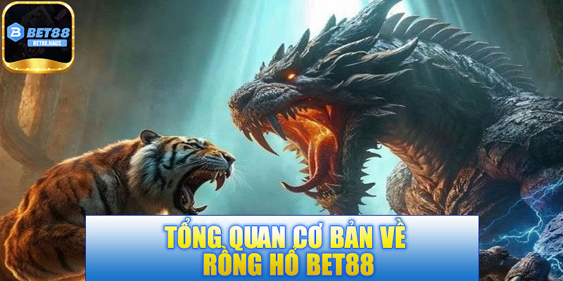 Tổng quan cơ bản về rồng hổ BET88