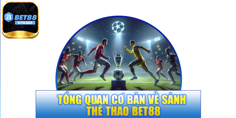 Tổng quan cơ bản về sảnh thể thao BET88