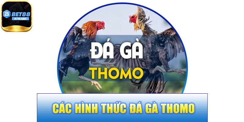 Các Hình Thức Đá Gà Thomo BET88